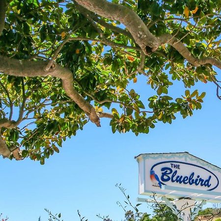 Bluebird Inn Cambria Ngoại thất bức ảnh